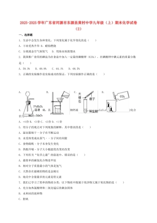 九年级化学上学期期末试卷2含解析-新人教版