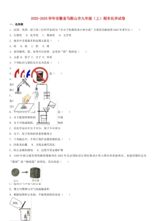 九年级化学上学期期末试卷含解析-新人教版10