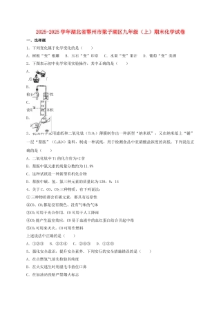 九年级化学上学期期末试卷含解析-新人教版25