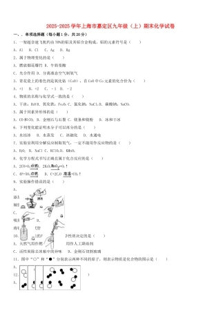 九年级化学上学期期末试卷含解析-沪教版