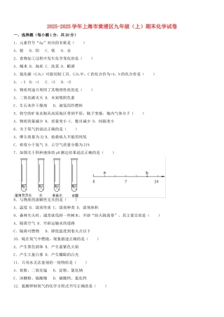 九年级化学上学期期末试卷含解析-沪教版5