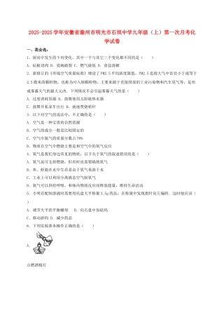 九年级化学上学期第一次月考试卷含解析-新人教版12