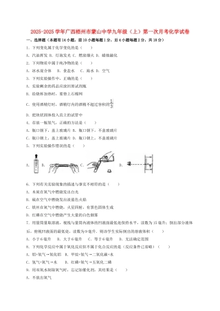九年级化学上学期第一次月考试卷含解析-新人教版20