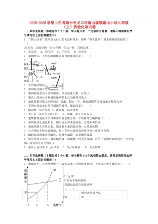 九年级化学上学期质检试卷含解析-新人教版五四制