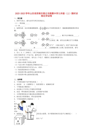 九年级化学上学期限时训练试卷含解析-新人教版