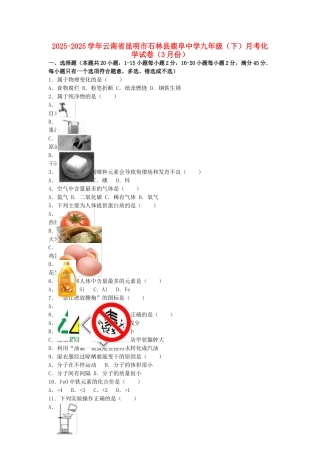 九年级化学下学期3月月考试卷含解析-新人教版