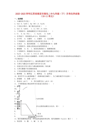 九年级化学下学期月考试卷第1011单元含解析-新人教版