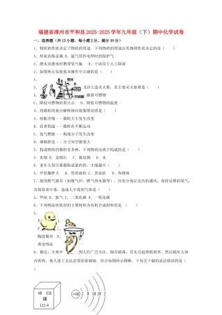 九年级化学下学期期中试卷含解析-新人教版11