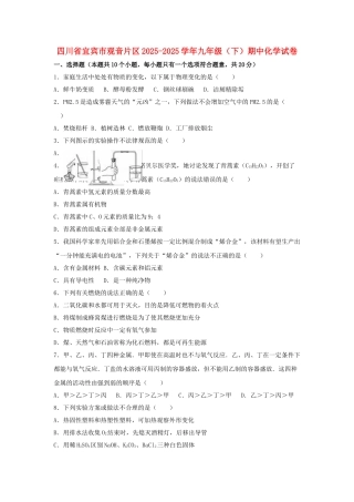 九年级化学下学期期中试卷含解析-新人教版1