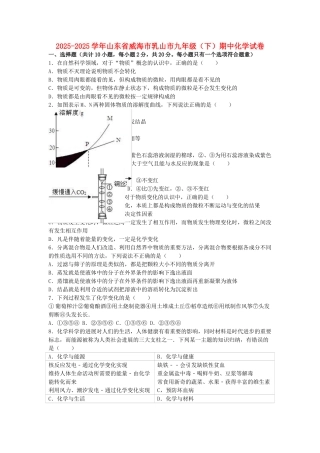 九年级化学下学期期中试卷含解析-鲁教版五四制