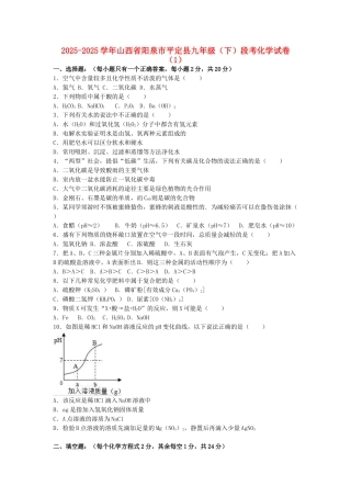 九年级化学下学期段考试卷1含解析
