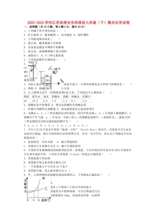 九年级化学下学期期末试卷含解析-新人教版
