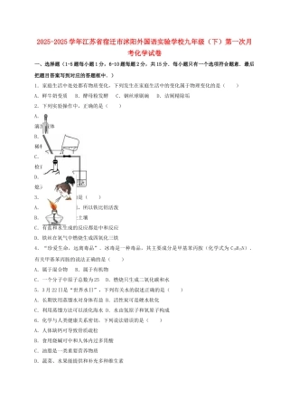 九年级化学下学期第一次月考试卷含解析-新人教版