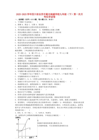 九年级化学下学期第一次月考试卷含解析-新人教版2