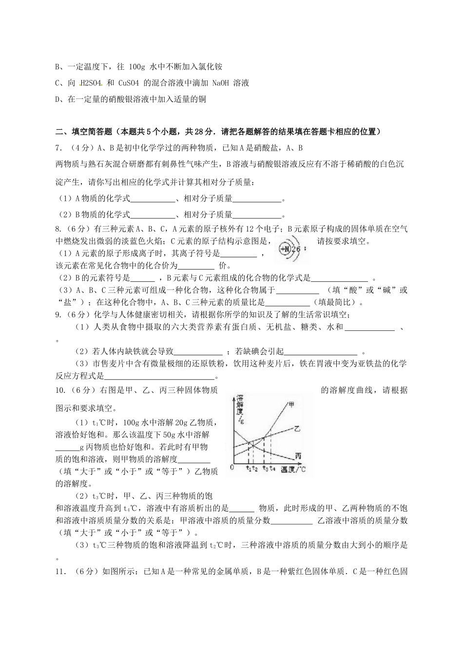 九年级化学下学期第一次月考试题无答案_第2页