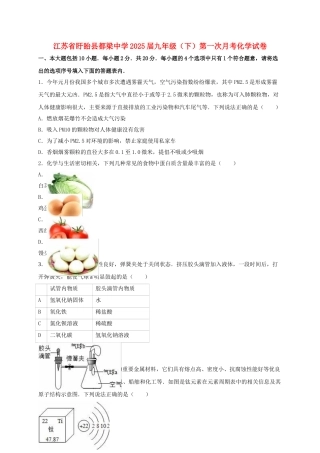九年级化学下学期第一次月考试卷含解析-新人教版4