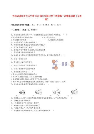 九年级化学下学期第一次模拟试题无答案