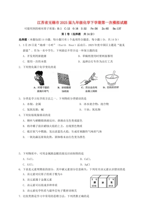 九年级化学下学期第一次模拟试题1