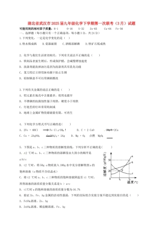 九年级化学下学期第一次联考3月试题