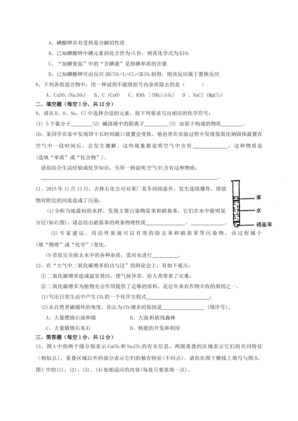 九年级化学下学期第三次月考试题_第2页