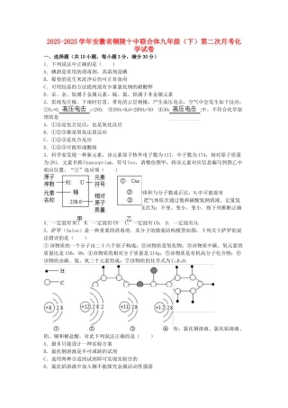 九年级化学下学期第二次月考试卷含解析-新人教版