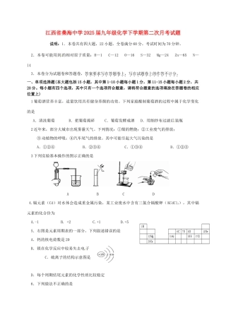 九年级化学下学期第二次月考试题