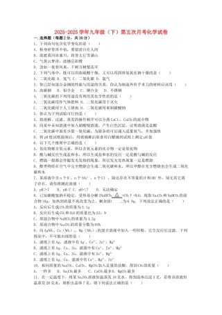 九年级化学下学期第五次月考试卷含解析-新人教版