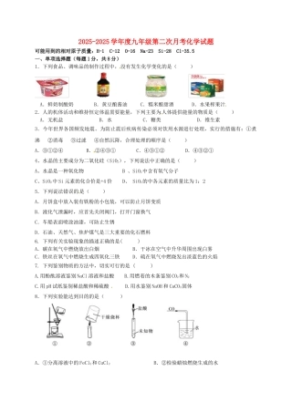 九年级化学下学期第二次月考试题无答案