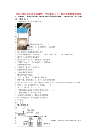 九年级化学下学期第二次质检试卷含解析-新人教版