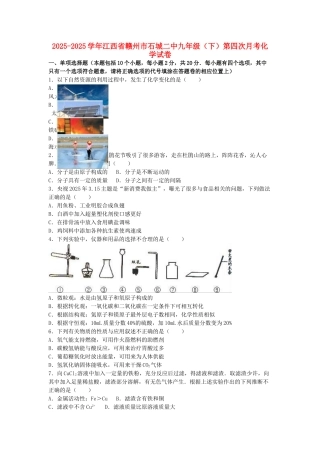 九年级化学下学期第四次月考试卷含解析-新人教版