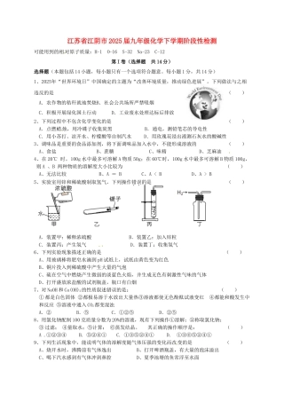 九年级化学下学期阶段性检测无答案
