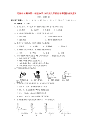 九年级化学寒假作业试题8