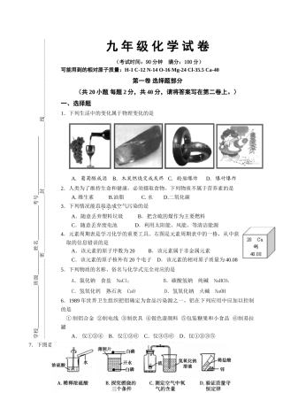 九年级化学模拟试卷
