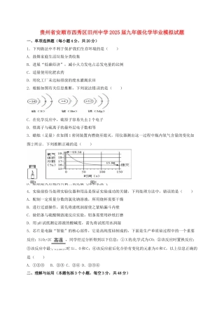 九年级化学毕业模拟试题
