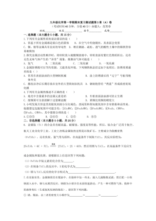 九年级化学第一学期期末复习测试题第5章
