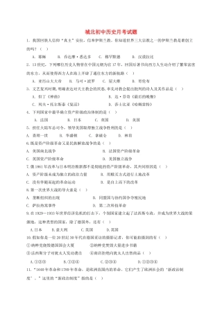 九年级历史上学期第三次月考试题无答案-新人教版