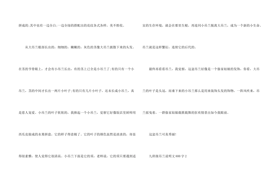 九年级吊兰说明文800字_第2页