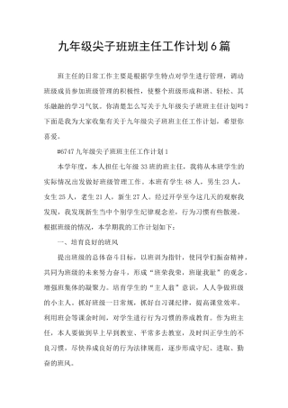 九年级尖子班班主任工作计划6篇