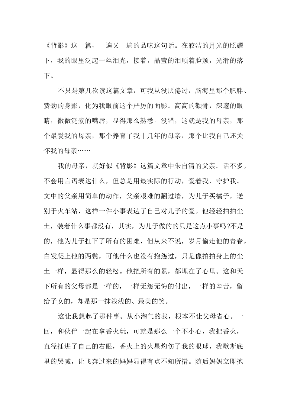 九年级的背影读后感1000字_第3页
