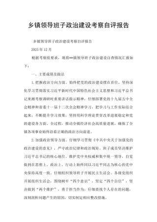 乡镇领导班子政治建设考察自评报告