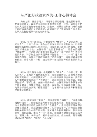 从严把好政治素质关-工作心得体会