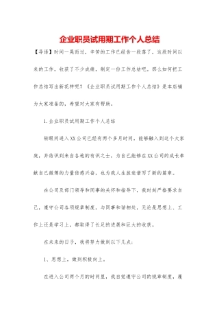企业职员试用期工作个人总结