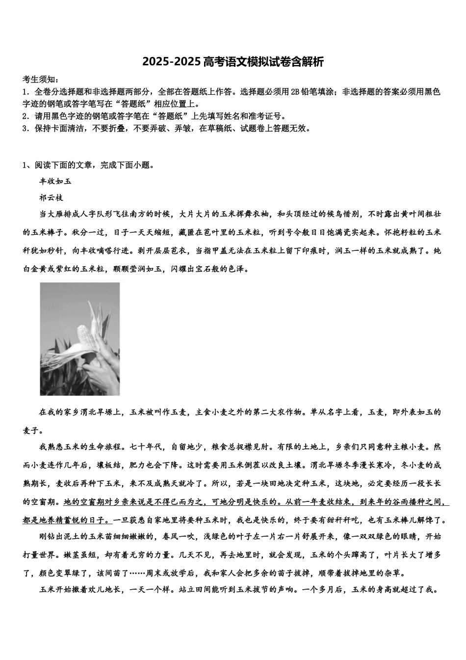 优质金卷：2025年辽宁省实验中学高三下学期第六次检测语文试卷含解析_第1页