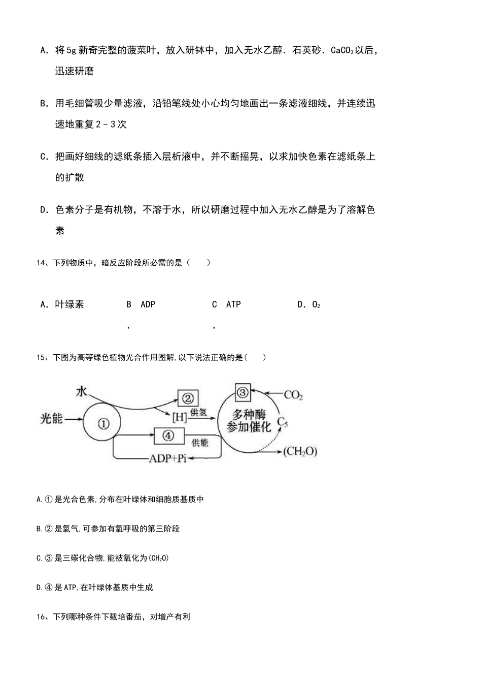 光合作用练习含答案_第3页