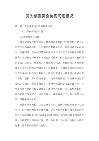 党支部委员会检视问题情况