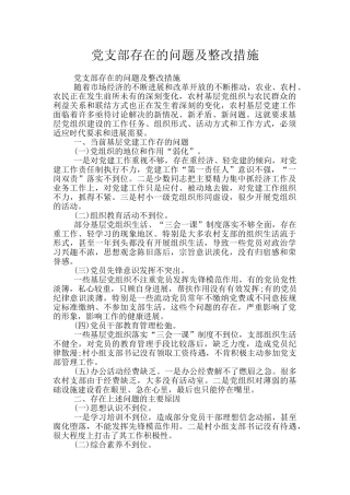 党支部存在的问题及整改措施