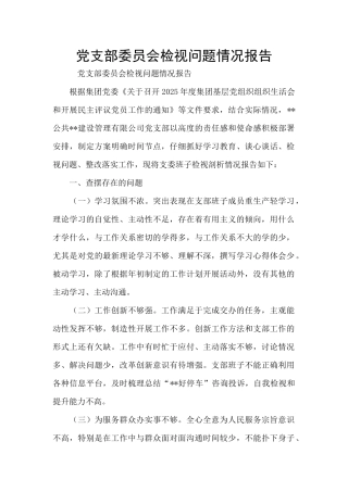 党支部委员会检视问题情况报告