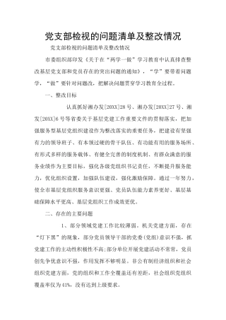 党支部检视的问题清单及整改情况