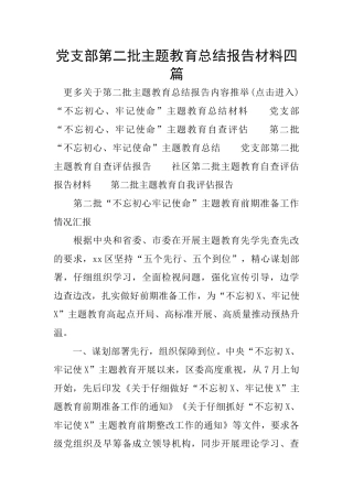 党支部第二批主题教育总结报告材料四篇
