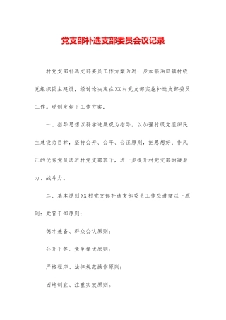 党支部补选支部委员会议记录